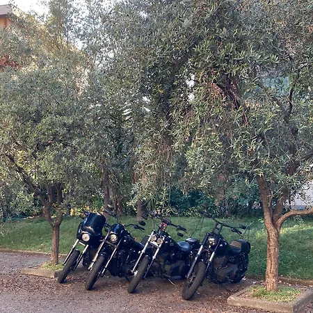 Ghironi La Spezia