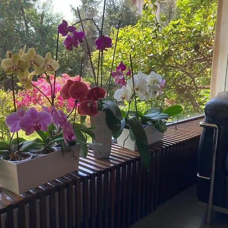 Hotel Ghironi La Spezia