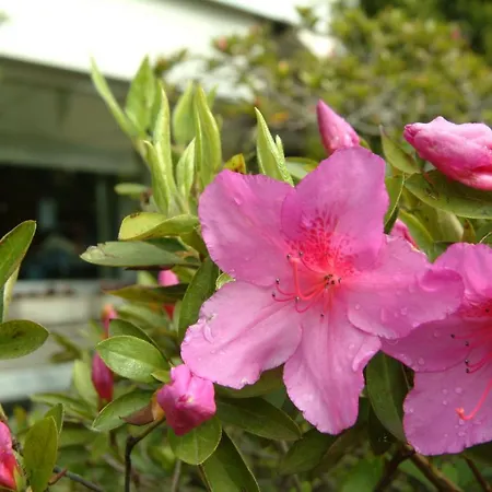 Ghironi Hotel La Spezia